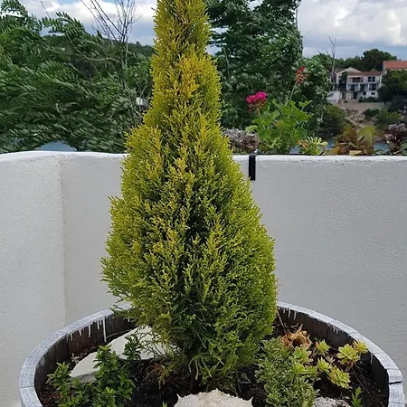 Apartment Jakov *